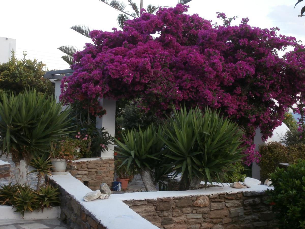 Galini Bungalows Kionia Extérieur photo