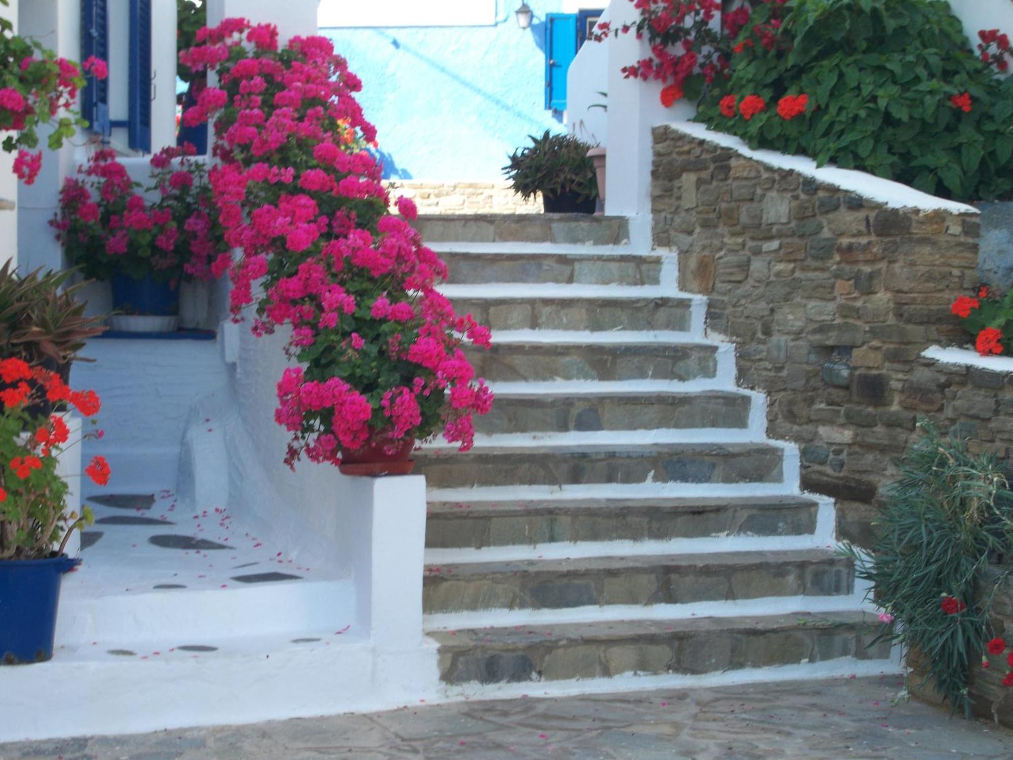 Galini Bungalows Kionia Chambre photo